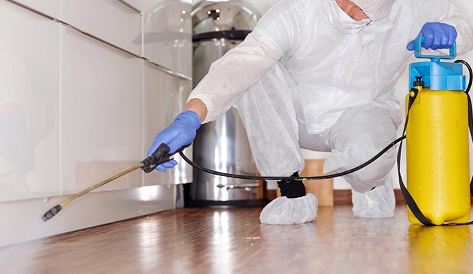 Professional disinfecting service