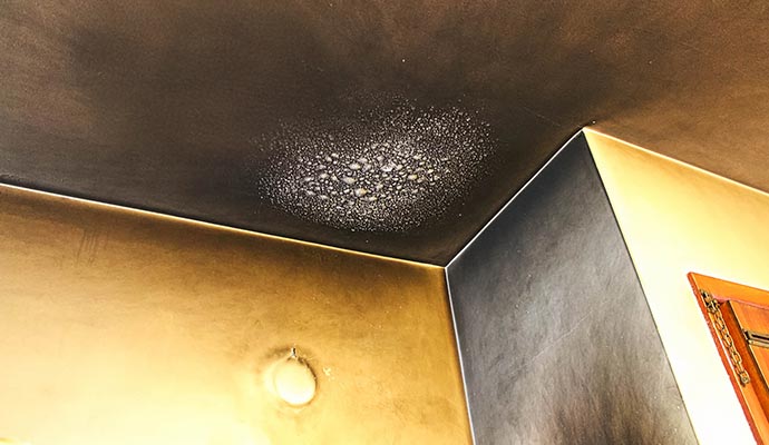 Smoke and soot damaged ceiling