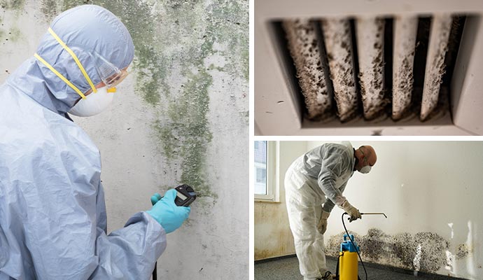 Collage of mold testing, molded HVAC vent and mold decontamination service