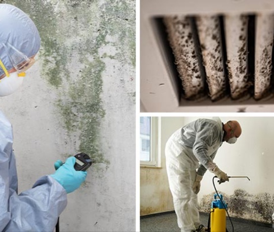 Collage of mold testing, molded HVAC vent and mold decontamination service