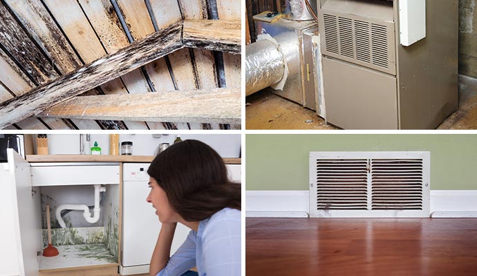 Collage of attic rafters, residential furnace unit, mold under a kitchen sink and molded air vent