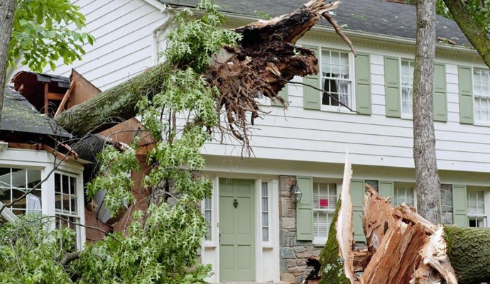 Wind damaged property